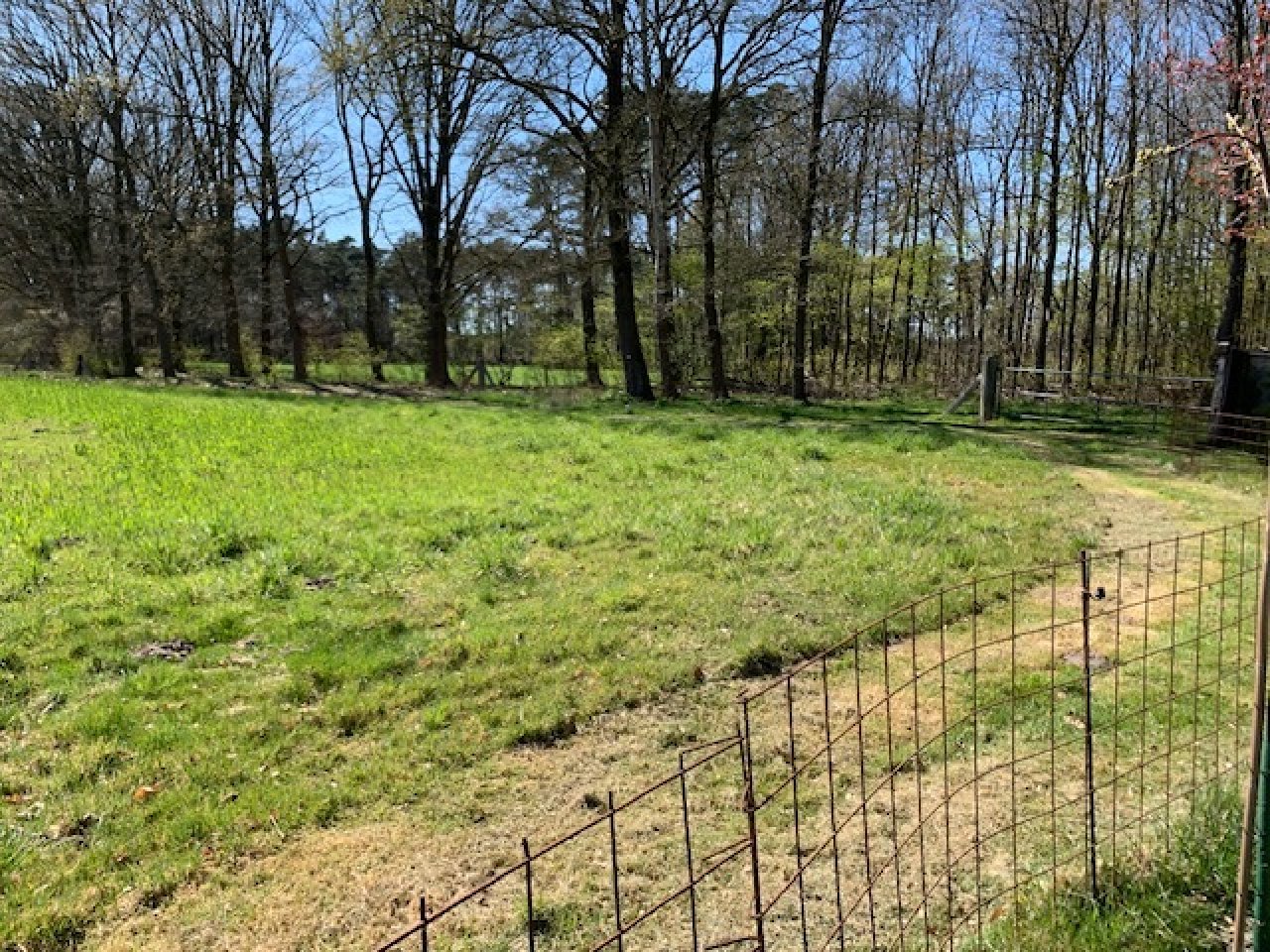 Garten Garten